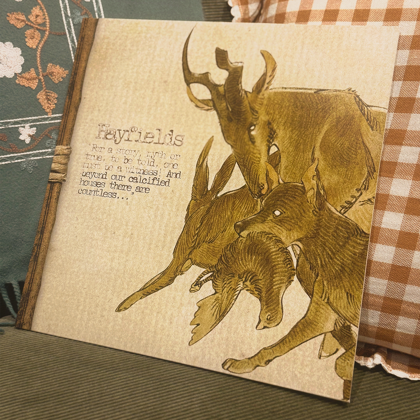 Hayfields Vinyl